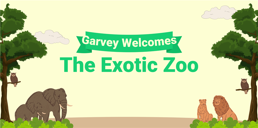  Zoo animals picture